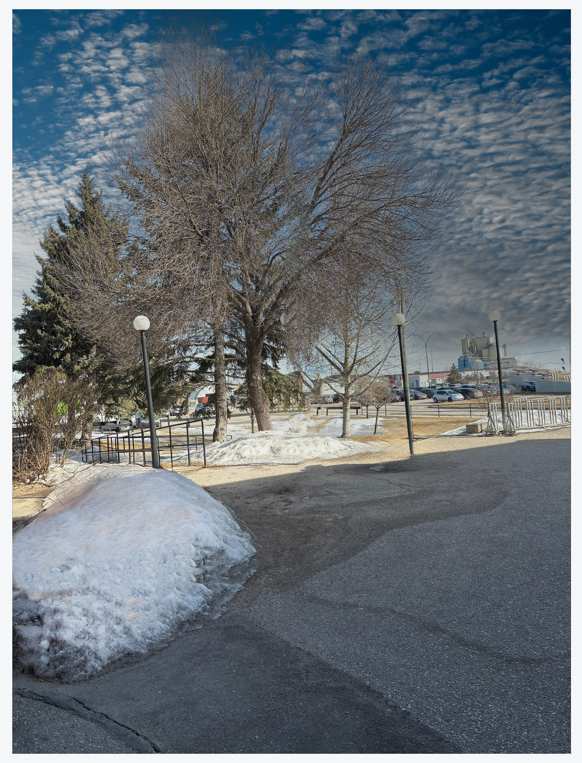 Outside of a building, there are trees and street lamps and blue sky's